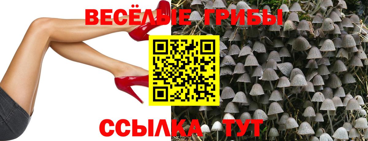 Химки  Псилоцибиновые грибы Magic Shrooms  Вход с VPN  Галлюциногенные грибы Magic Shrooms 